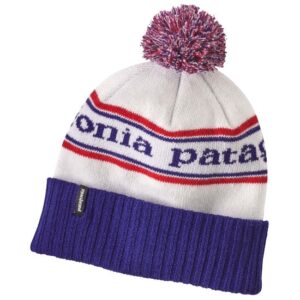 Patagonia Gorro da Cidade do Pó