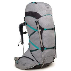 Osprey Ariel Pro 65W