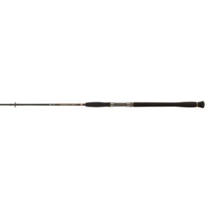 PENN Cana Silúrideo Legion Gold Spin