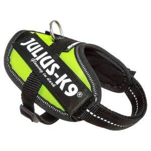 Julius k-9 Arnês IDC Baby