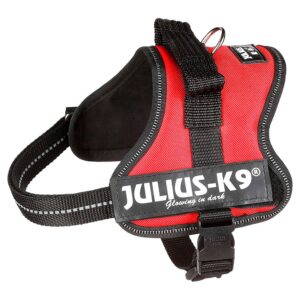 Julius k-9 Arnês Power Mini