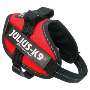 Julius k-9 Arnês IDC Mini