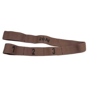 Leisis Double Elastic Band With Grip 20kg