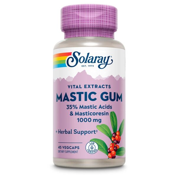 Solaray Mastic Gum 500mgr 45 Unidades
