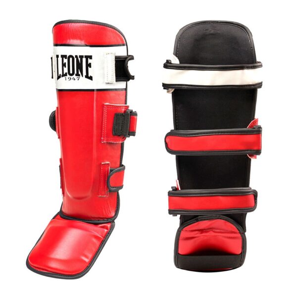 Leone1947 Shock