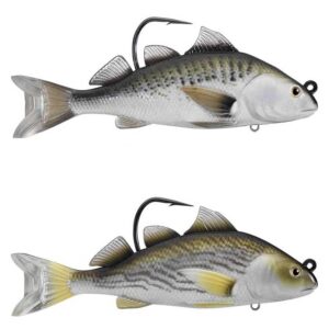 Live target Isca De Corvina 100 mm 28g