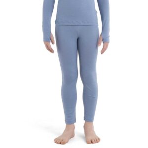 Icebreaker Leggings 260 Tech Merino