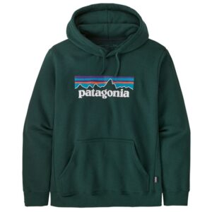 Patagonia Moletom com capuz P-6 Logo Upr