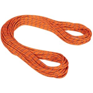 Mammut Alpine Sender Dry 9.0 mm x 60 m