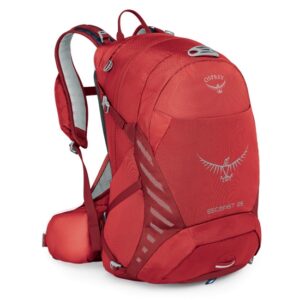 Osprey Escapista 25