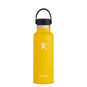 Hydro Flask Boca padrão de 18 onças