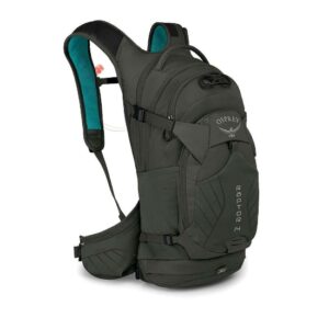 Osprey raptor 14