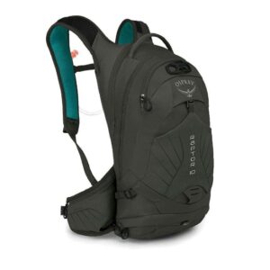 Osprey raptor 10
