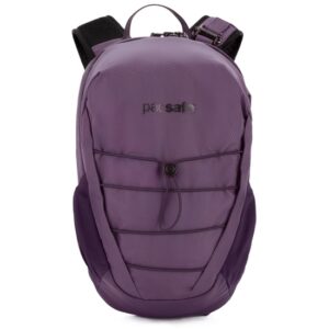 Pacsafe Venturesafe X12