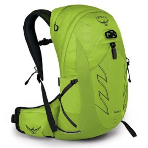 Osprey Talon 22