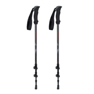 Gabel Equipe Carbon Lite FL