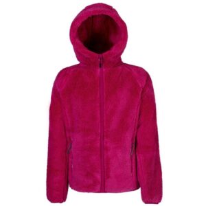 Rock Experience Oldy Hodie Fleece Jr