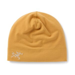 Arc'teryx Toque de lã Rho Lightweith