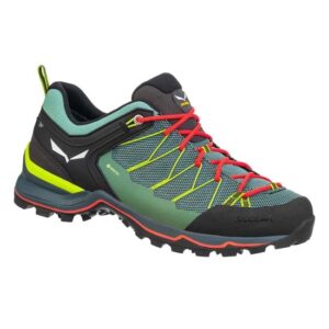 Salewa MTN Trainer Lite Gtx Feminino