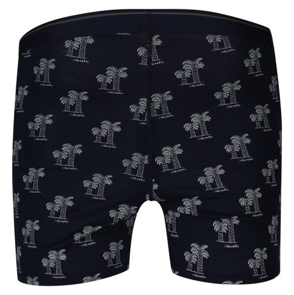 Icebreaker Boxer Anatomica - Imagem 3