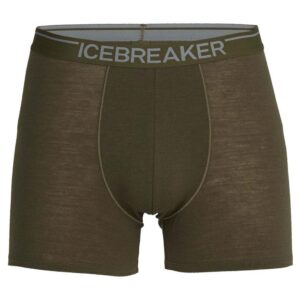 Icebreaker Tronco Merino Anatomica