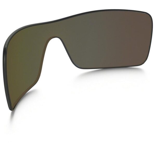 Oakley Lente Batwolf - Image 4