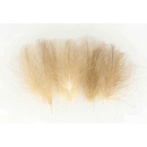 Baetis Pluma CDC Natural