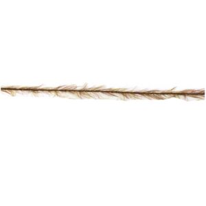 Prowess Linha Weedlook Leader 5 M