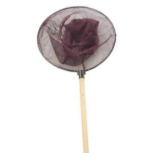 Evia Hand Held Shrimping