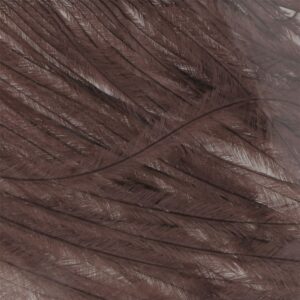 Baetis Pena De Avestruz