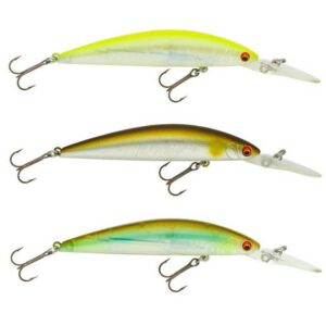 Daiwa Minnow Tournament Current Master DR Floating 93 mm 12g