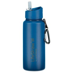 Lifestraw Garrafa De Filtro De água De Aço Inoxidável Go 1L