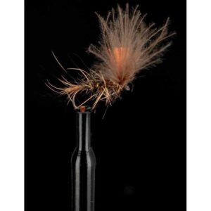 Baetis Voe Liebre Vila