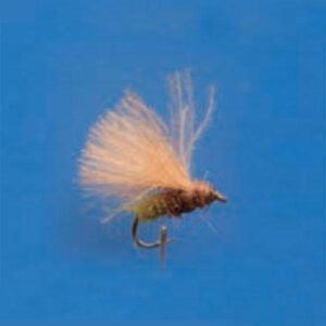 Blue fox Caddisfly Mangy 16