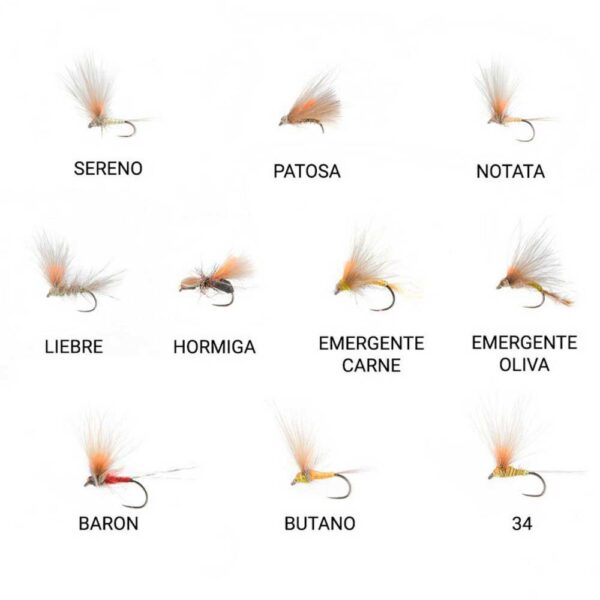 Baetis Voe Quevedo - Imagem 2