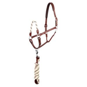 BR Com Corda De Corda E Cabeçada De Focinho Aberdeen