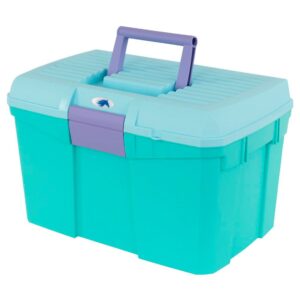 Bieman Caixa De Armazenamento Carlo II