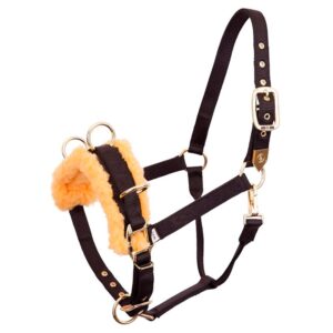 BR Corda Guia Cavesson