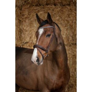 Norton equestrian Cabeçada Diademe
