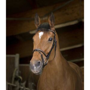 Norton equestrian Cabeçada Clincher