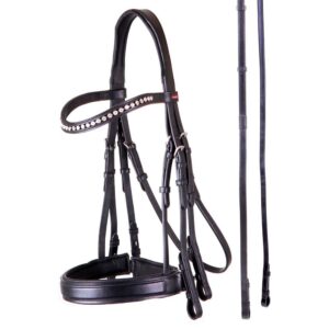 Premiere Refrear Weymouth Lyon