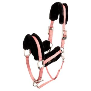 BR Cabeçada 4 EH Bear