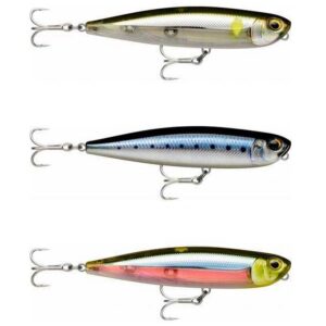 Rapala Lápis Precision Xtreme Saltwater Floating 107 mm 21g