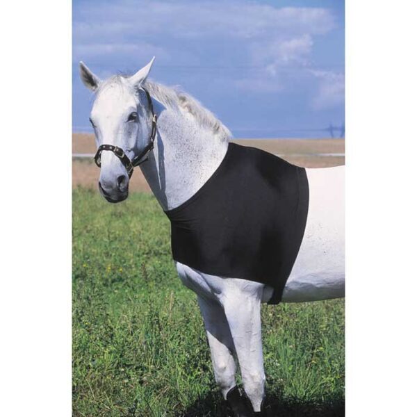 Equitheme Protetor Tórax