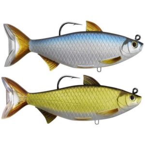 Live target Swimbait Golden Shiner 165 mm 71g