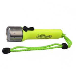 Blue fox Cozumel Diving