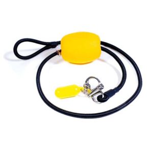 Carp spirit Estalo De Barco