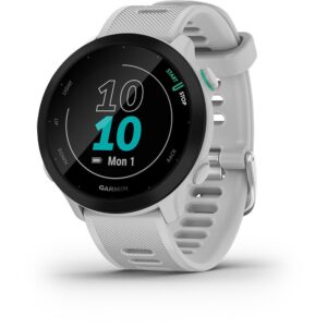 Garmin Relógio Forerunner 55