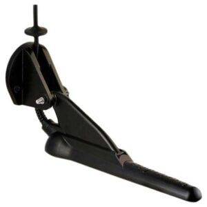 Raymarine CPT-100 DVS Downvision