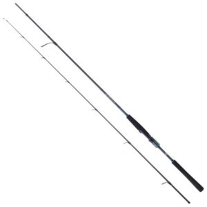 Daiwa Cana Spinning Saltist AGS II